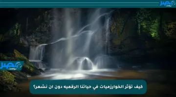 كيف تؤثر الخوارزميات في حياتنا الرقمية دون أن نشعر؟